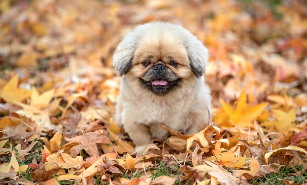 FXの指値注文を活用するメリットとは？