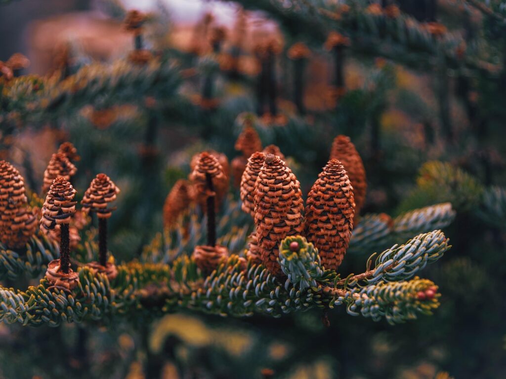 mt4の使い方を初心者が理解するためのポイントは？