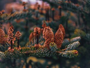 mt4の使い方を初心者が理解するためのポイントは？