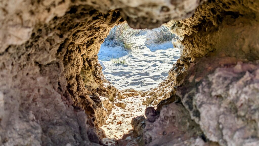 oco fxの初心者が知っておくべき基本情報とは？