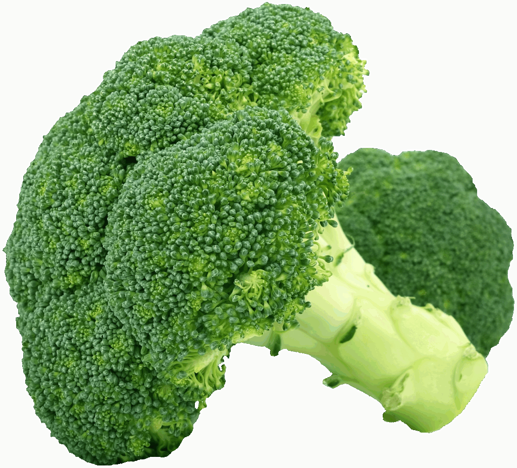 強制ロスカットとは何か、初心者が知っておくべきポイントは？