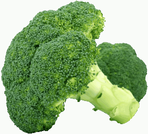 強制ロスカットとは何か、初心者が知っておくべきポイントは？