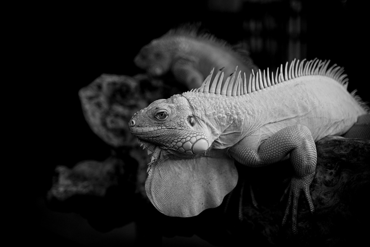 FXのスプレッドについて詳しく解説している記事は？