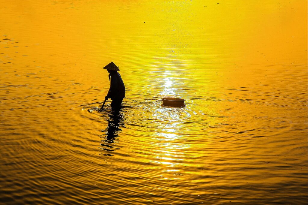 FX講座の選び方で失敗しないためのポイントは？