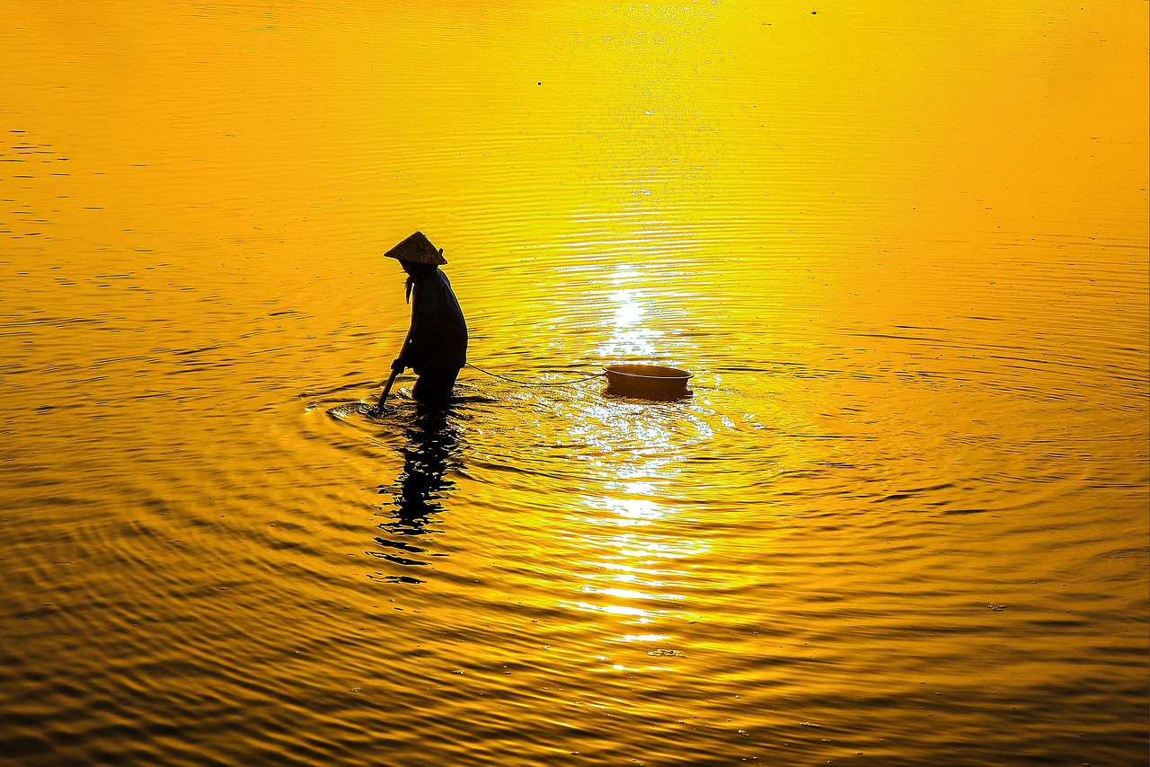 FX講座の選び方で失敗しないためのポイントは？