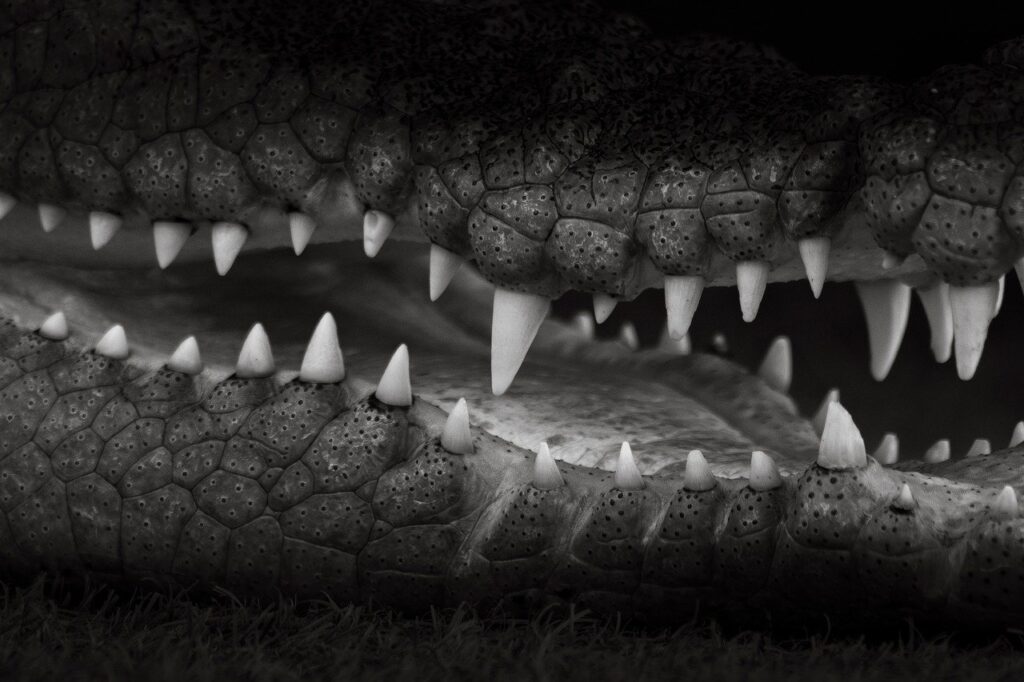 海外FXの危険性とは何か？