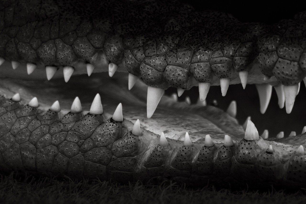 海外FXの危険性とは何か？