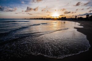 EAの選び方で失敗しないためのポイントは？