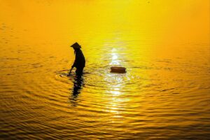 FXスクールのおすすめを比較して選ぶポイントは？