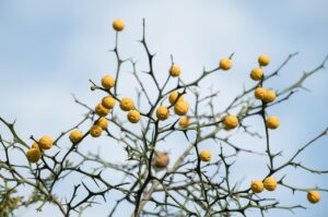 FXで稼げない人の共通点とは？