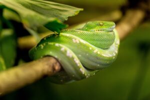 FXの口コミは本当に信頼できるのか？
